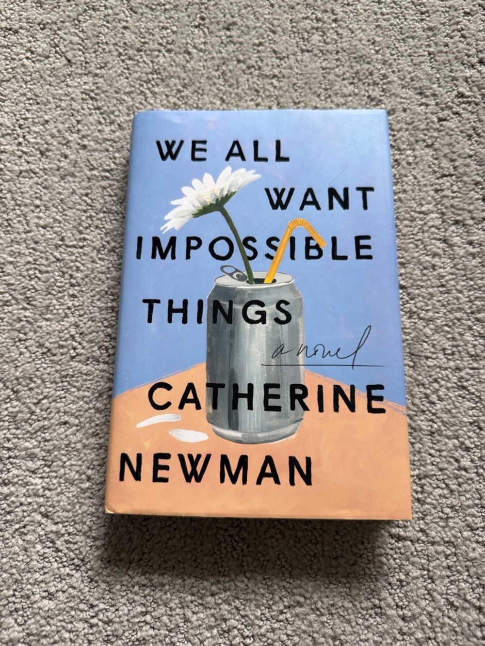We All Want Impossible Things by Catherine Newman novel